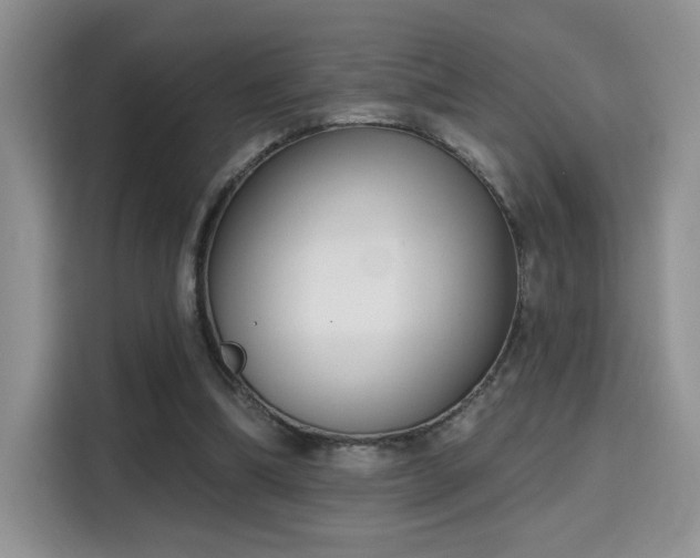 X0000115670298200911191031