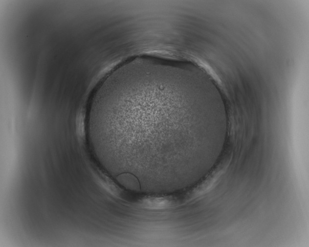 X0000115670299200911191031