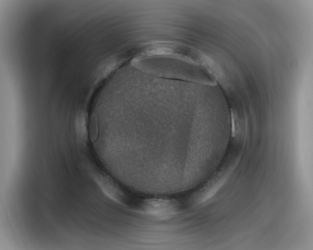 X0000115670300200911191031