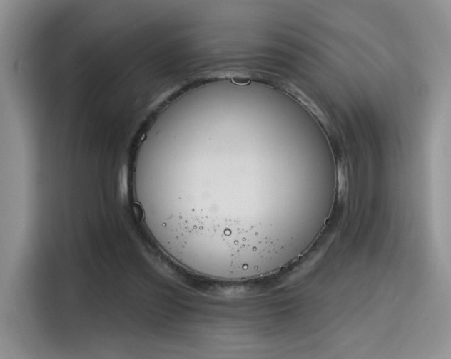 X0000115670301200911191031