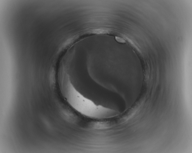 X0000115670303200911191031