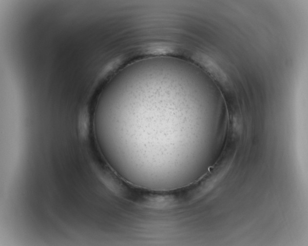 X0000115670304200911191031
