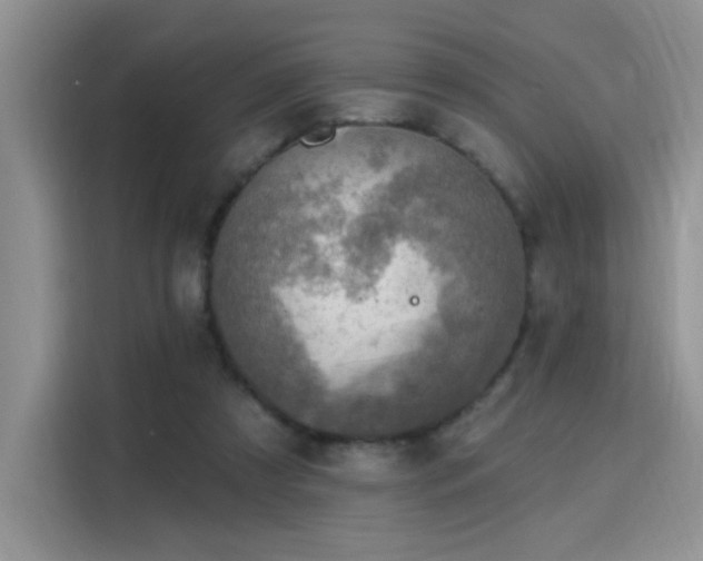 X0000115670305200911191031