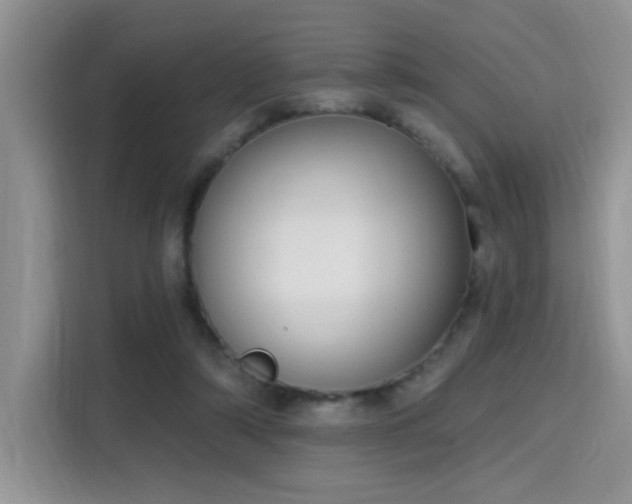 X0000115670306200911191031