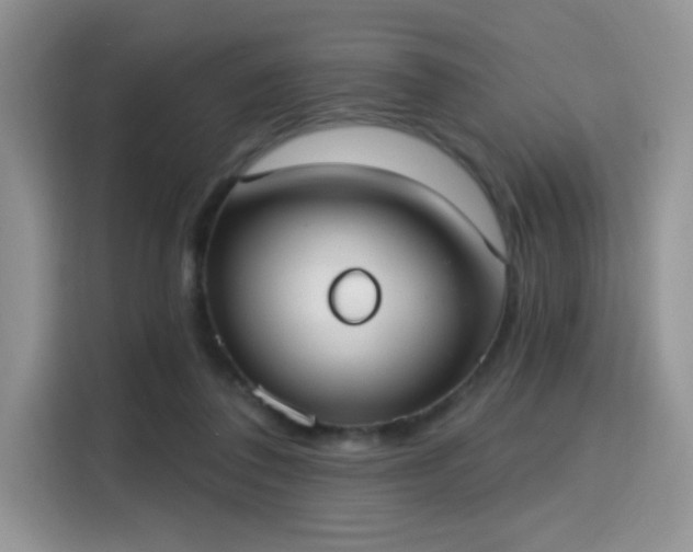 X0000115670308200911191031