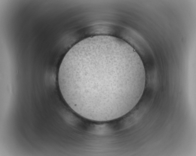 X0000115670309200911191031
