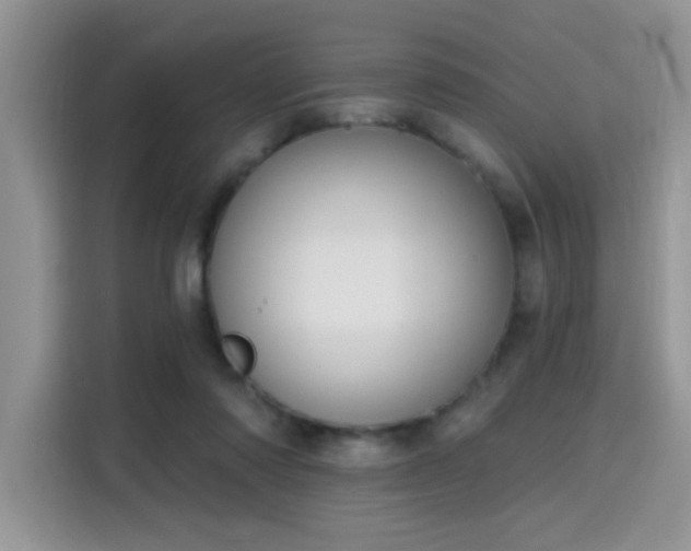 X0000115670310200911191031