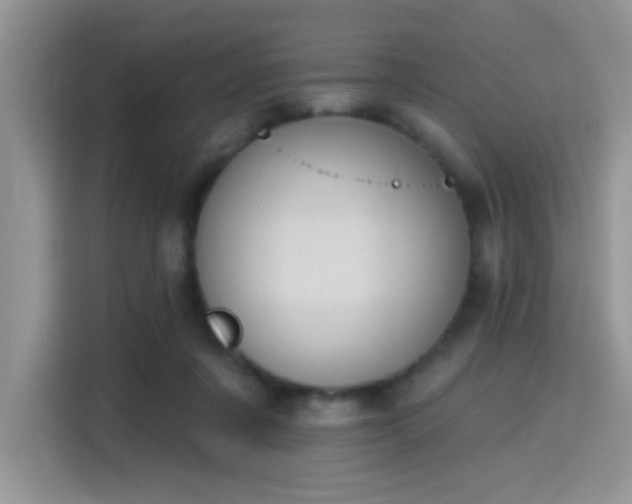 X0000115670311200911191031
