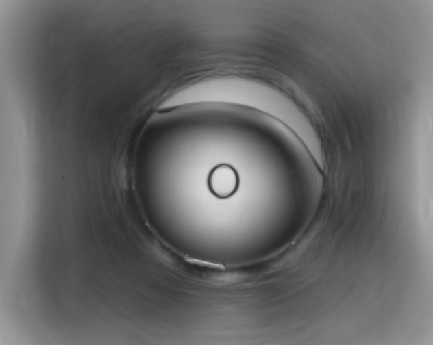 X0000115670313200911191031