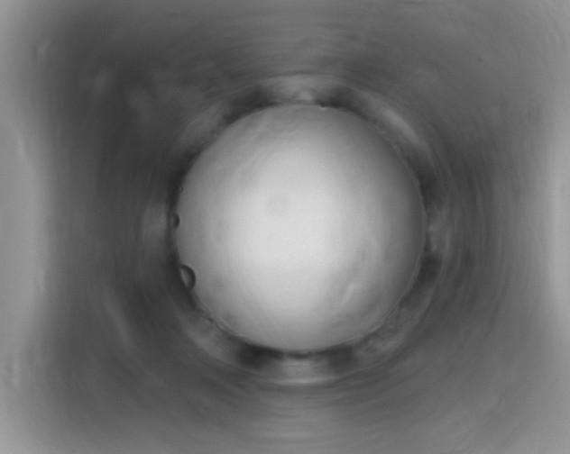 X0000115670314200911191030