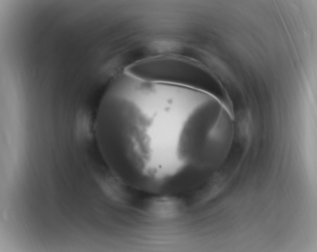 X0000115670316200911191030
