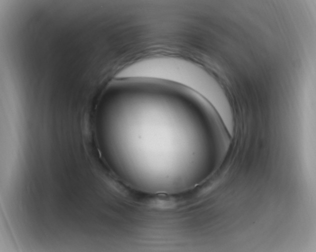 X0000115670317200911191030
