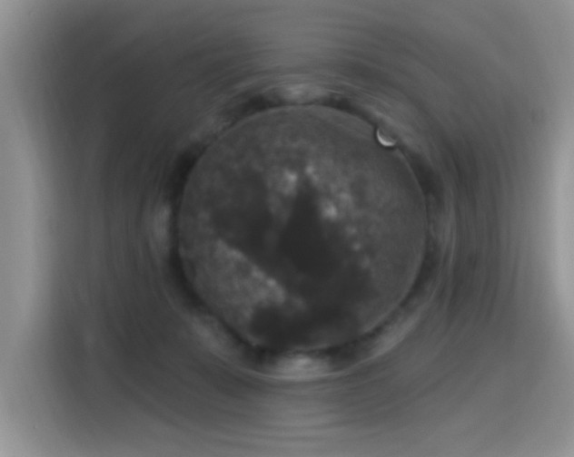 X0000115670319200911191030