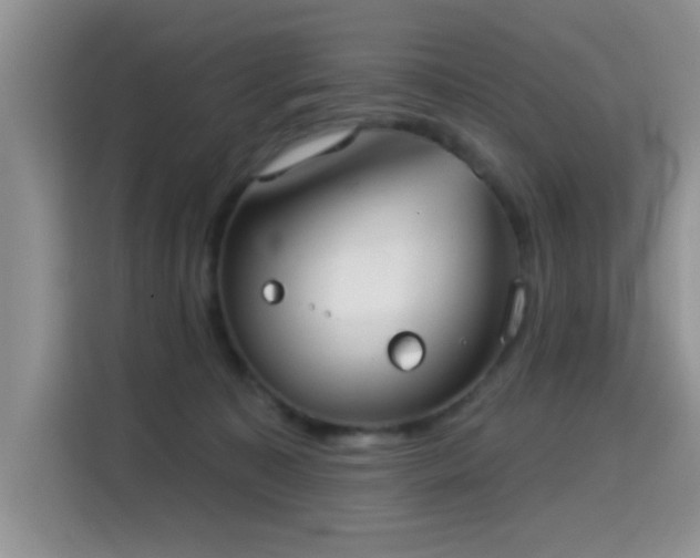 X0000115670323200911191030