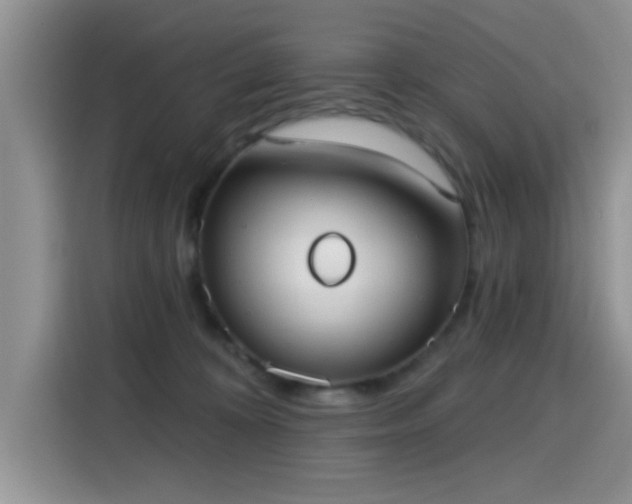 X0000115670324200911191030