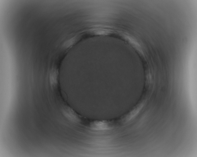 X0000115670325200911191030