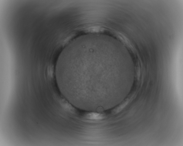 X0000115670326200911191030