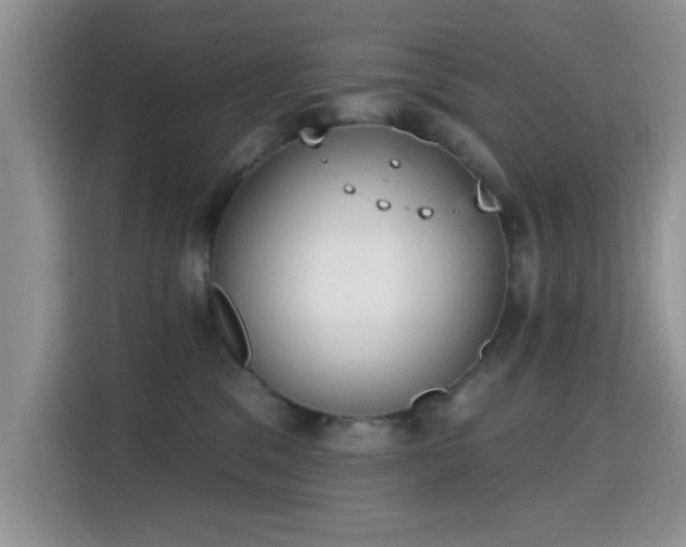 X0000115670329200911191030