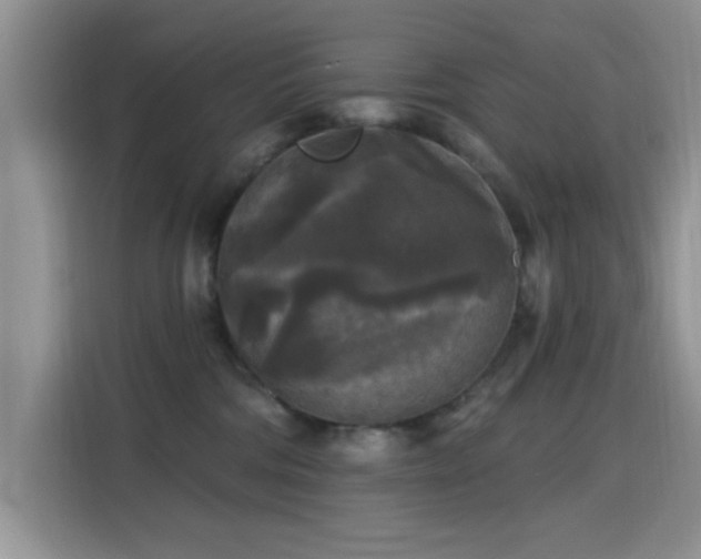 X0000115670330200911191030