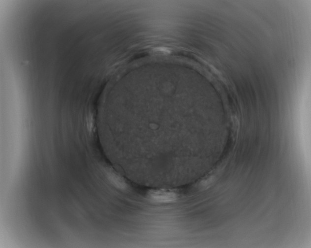 X0000115670331200911191030