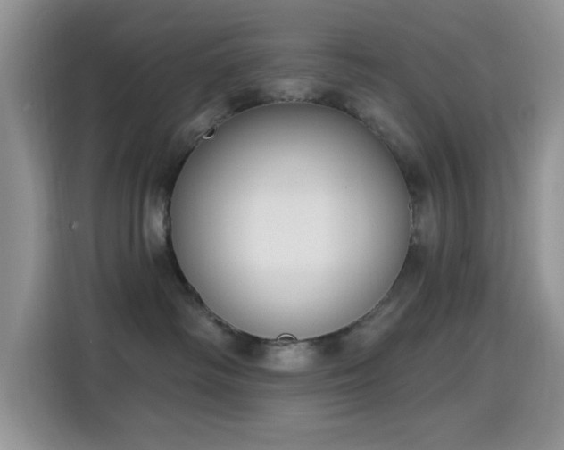X0000115670334200911191030