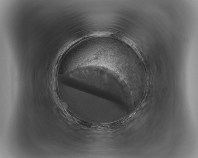 X0000115670337200911191030
