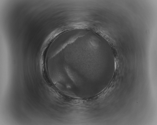 X0000115670339200911191030