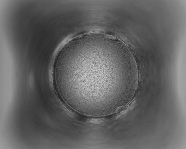 X0000115670341200911191030