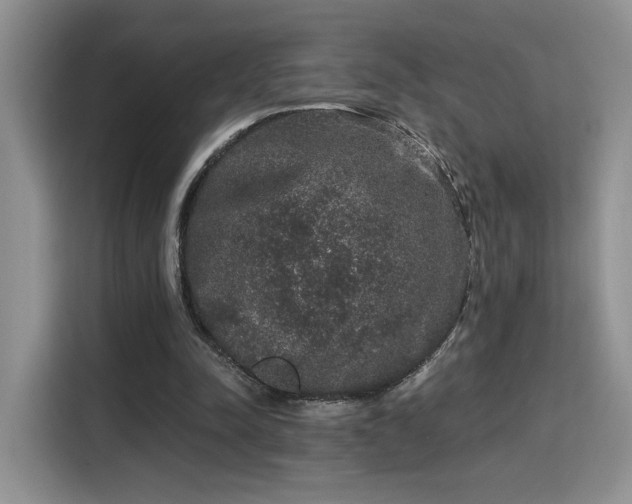 X0000115670342200911191030