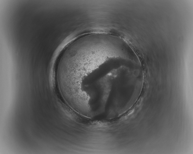 X0000115670343200911191030