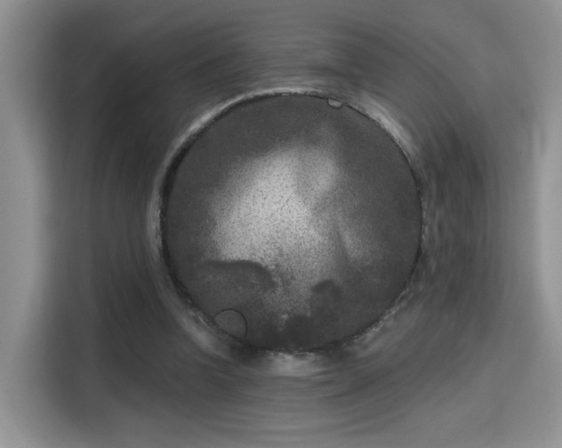 X0000115670346200911191030