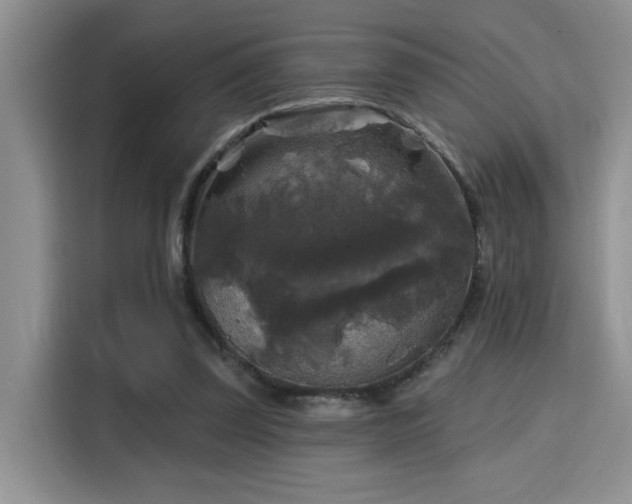 X0000115670347200911191030