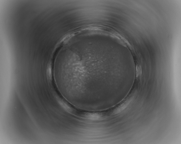 X0000115670349200911191030