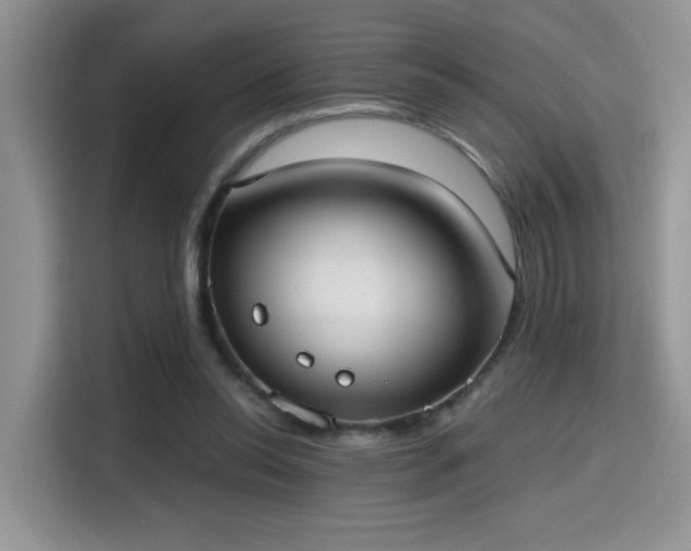 X0000115670350200911191030