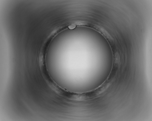 X0000115670351200911191030