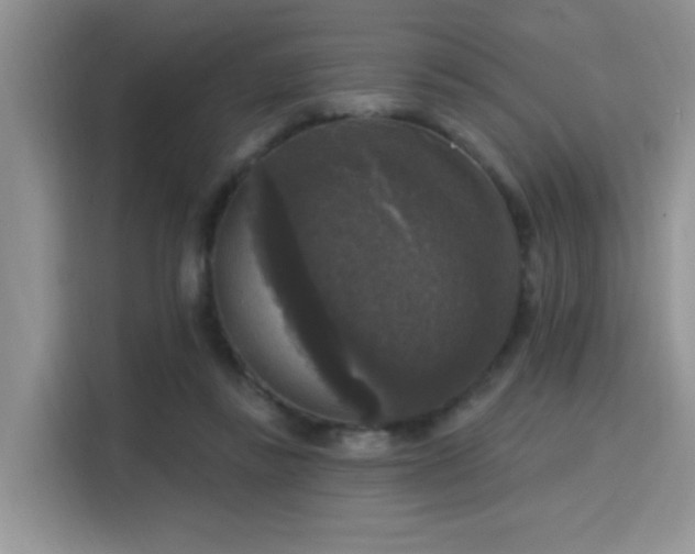 X0000115670355200911191030