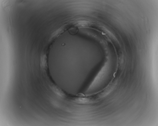 X0000115670361200911191030
