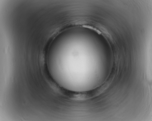 X0000115670362200911191030