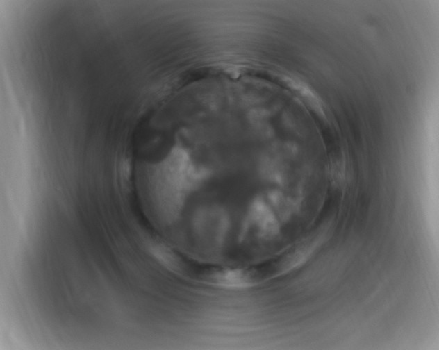 X0000115670365200911191030