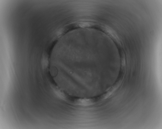 X0000115670367200911191030
