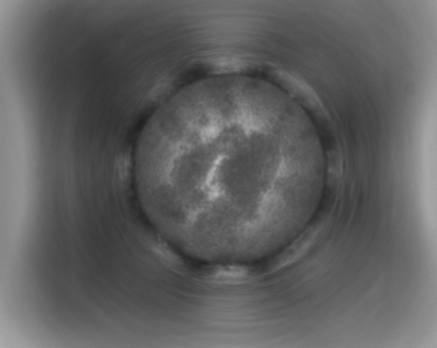 X0000115670369200911191030