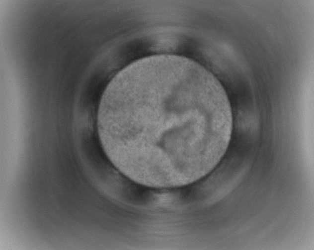 X0000115670370200911191030