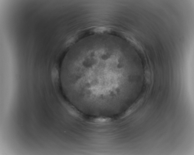 X0000115670375200911191030