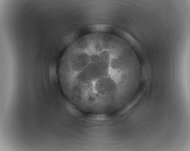 X0000115670377200911191030