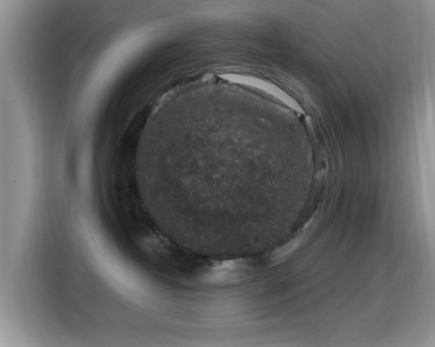 X0000115670382200911191030