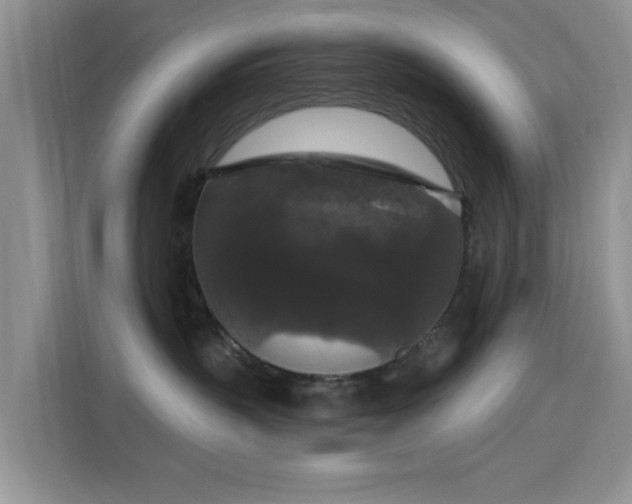 X0000115670383200911191030
