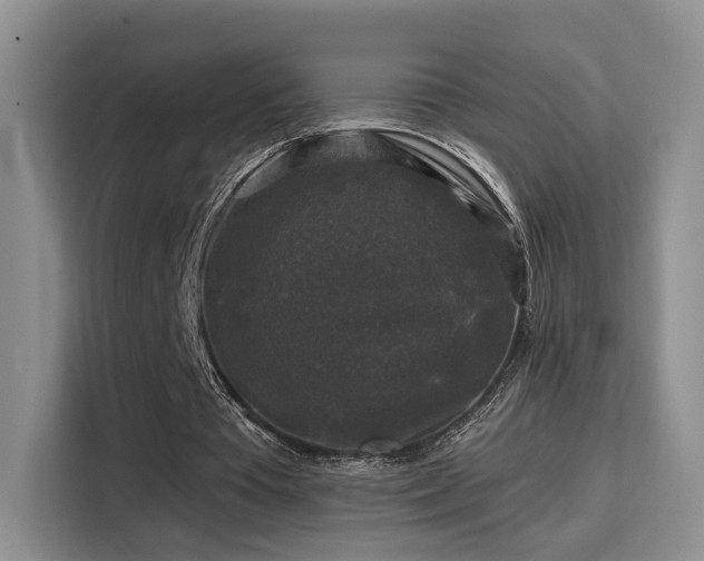 X0000115670385200911191030