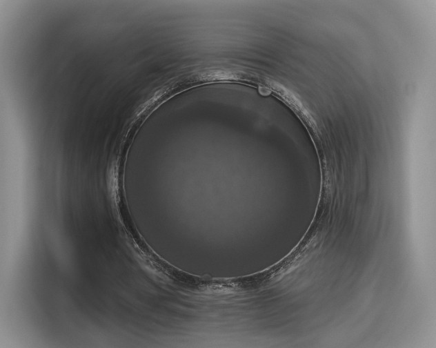 X0000115670386200911191030