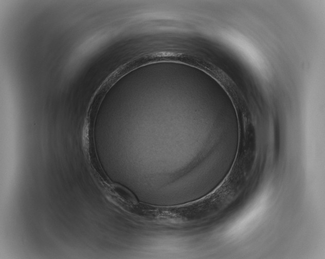 X0000115670387200911191030