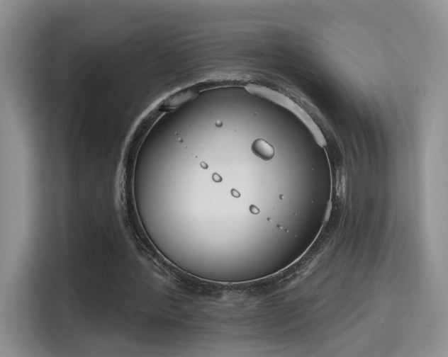 X0000115670388200911191030